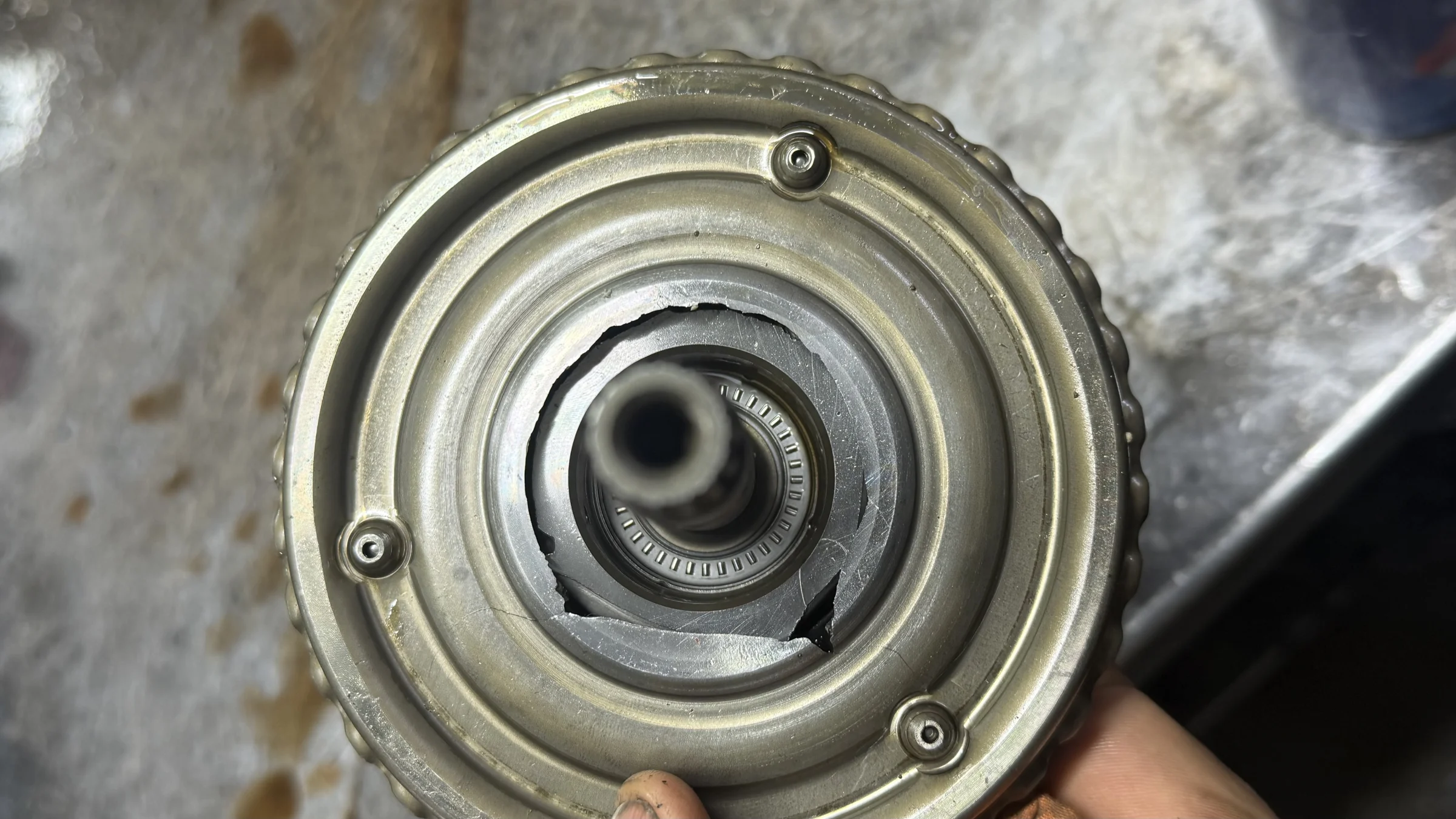 Muğla şanzımancı